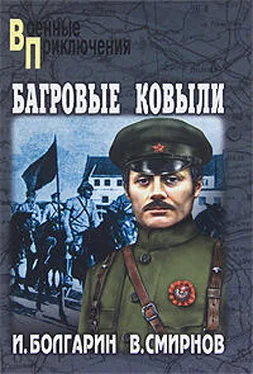 Виктор Смирнов Багровые ковыли обложка книги