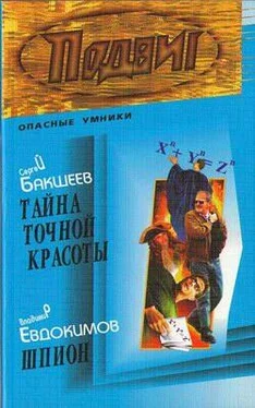 Сергей Бакшеев Тайна точной красоты обложка книги