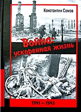 Константин Сомов Война: ускоренная жизнь обложка книги