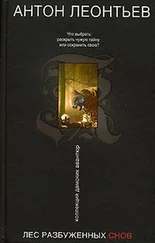 Антон Леонтьев - Лес разбуженных снов