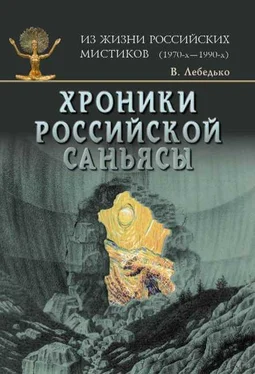 Владислав Лебедько Хроники российской Саньясы. Том 4 обложка книги