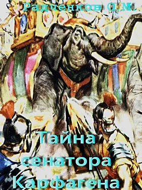 Радченков О.М. Тайна сенатора Карфагена обложка книги