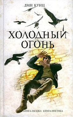 Дин Кунц Холодный огонь обложка книги