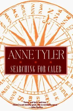 Anne Tyler Searching for Caleb обложка книги