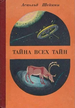 Аскольд Шейкин Северная баллада обложка книги