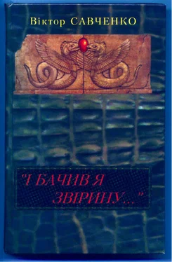 Віктор Савченко «І бачив я звірину...» обложка книги