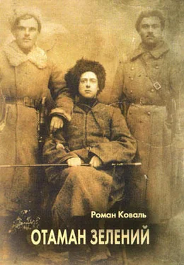 Роман Коваль Отаман Зелений обложка книги