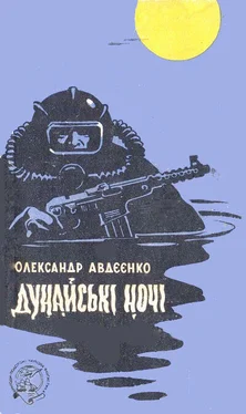 Александр Авдеенко Дунайські ночі обложка книги