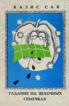 Казис Сая Гадание на яблочных семечках обложка книги