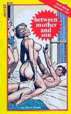 David Crane Between mother and son обложка книги