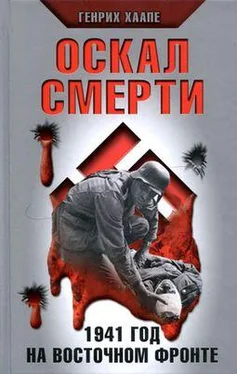 Генрих Хаапе Оскал смерти. 1941 год на Восточном фронте обложка книги