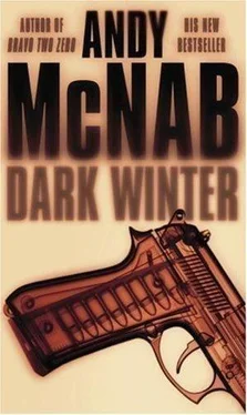 Andy McNab Dark winter обложка книги