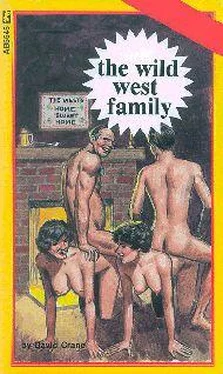 David Crane The wild west family обложка книги