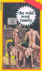 David Crane - The wild west family