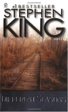 Stephen King Different Seasons обложка книги