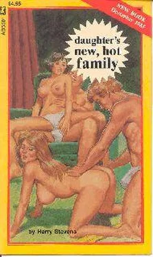 Harry Stevens Daughter_s new, hot family обложка книги