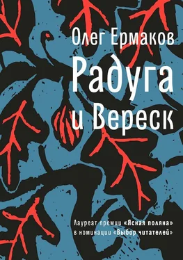 Олег Ермаков Радуга и Вереск обложка книги