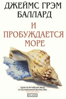 Джеймс Баллард И пробуждается море [Здесь было море] обложка книги