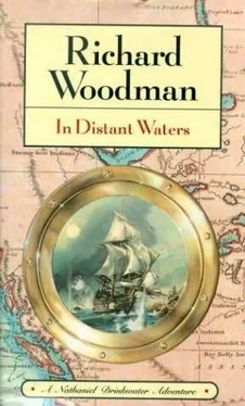 Richard Woodman In Distant Waters