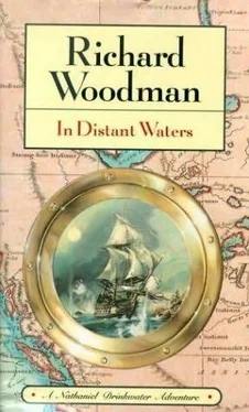 Richard Woodman In Distant Waters обложка книги