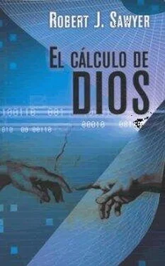 Robert Sawyer El cálculo de Dios обложка книги