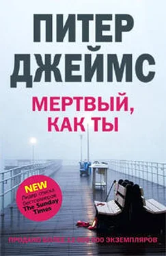 Питер Джеймс Мертвый, как ты обложка книги