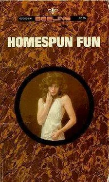 J. Brown Homespun Fun обложка книги
