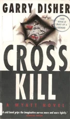 Garry Disher - Cross Kill