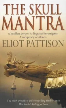 Eliot Pattison The Skull Mantra обложка книги