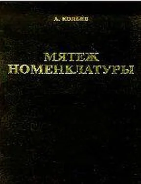 Андрей Савельев Мятеж номенклатуры. Москва 1991-1993. Книга 1 обложка книги