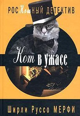 Ширли Мерфи Кот в ужасе обложка книги