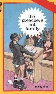 Ray Todd The preacher_s hot family обложка книги