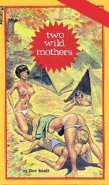 Don Scott Two wild mothers обложка книги