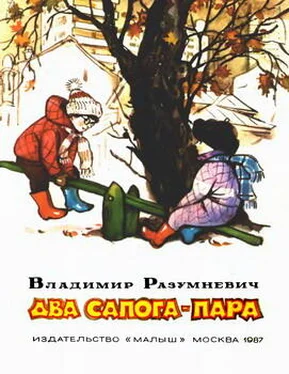 Владимир Разумневич Два сапога — пара обложка книги