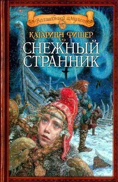 Кэтрин Фишер Похитители душ обложка книги