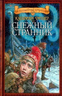 Кэтрин Фишер Сын Снежной странницы обложка книги