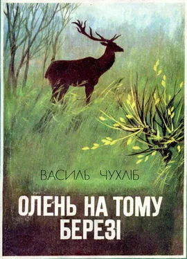 Василь Чухліб Олень на тому березі обложка книги