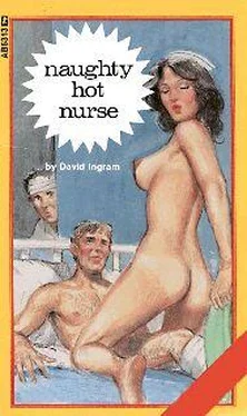 David Ingram Naughty hot nurse обложка книги