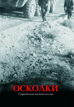 Глеб Бобров Осколки обложка книги