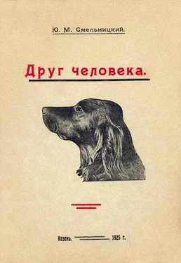 Юлий Смельницкий Друг человека обложка книги