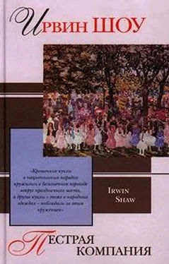 Ирвин Шоу Пестрая компания (сборник) обложка книги