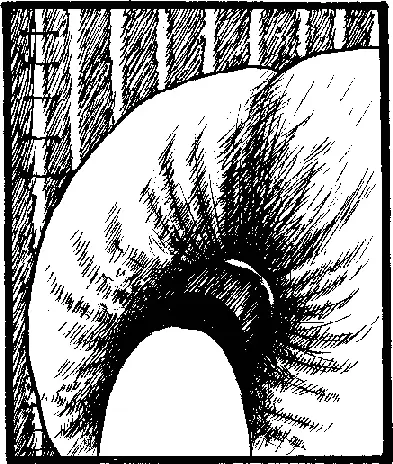 Мадам стоит рядом с биде задыхаясь от злости Девочки рядом с полотенцами в - фото 3