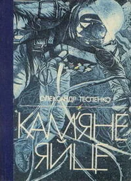 Александр Тесленко Крокодил не хотів літати обложка книги