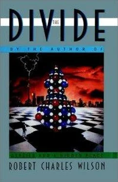 Robert Wilson The Divide обложка книги