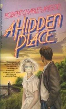 Robert Wilson A Hidden Place обложка книги