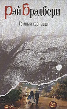 Рэй Брэдбери Воссоединение обложка книги