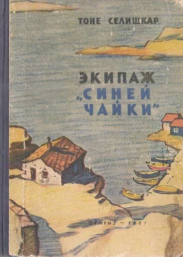 Тоне Селишкар Экипаж «Синей чайки» [Повесть] обложка книги