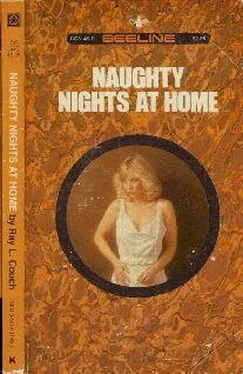 Ray Couch Naughty Nights At Home обложка книги