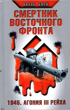 Пауль Борн Смертник Восточного фронта. 1945. Агония III Рейха обложка книги