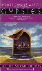 Robert Wilson - Gypsies